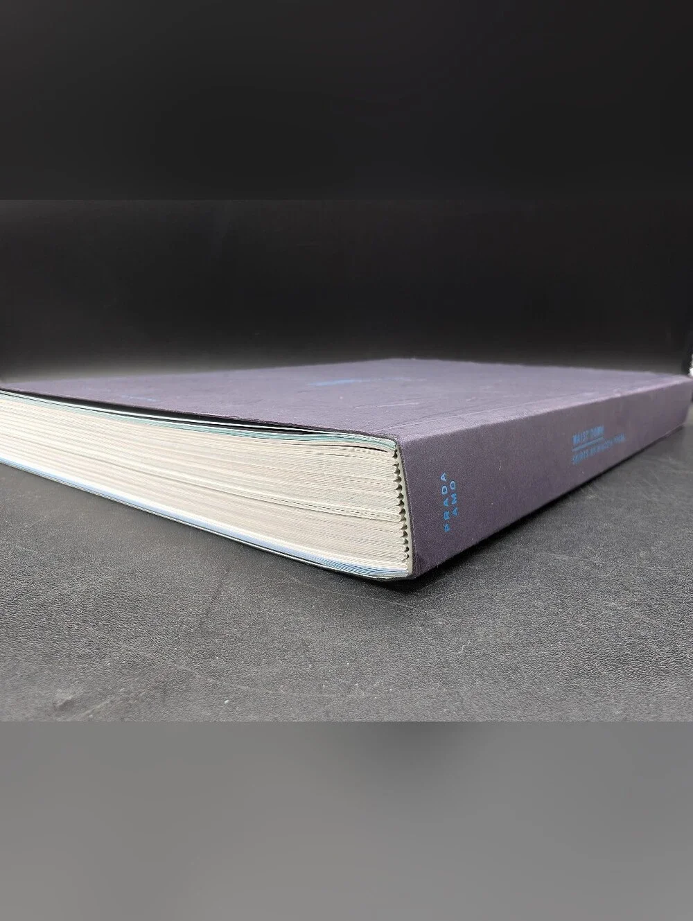 Waist Down; Skirts by Miuccia Prada. 1st Edition, 2004